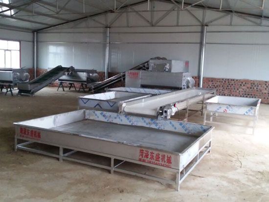 點擊查看詳細(xì)信息<br>標(biāo)題：蘿卜清洗機 閱讀次數(shù)：2915